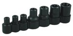 LISLE 26750 TORX SOCKET SET