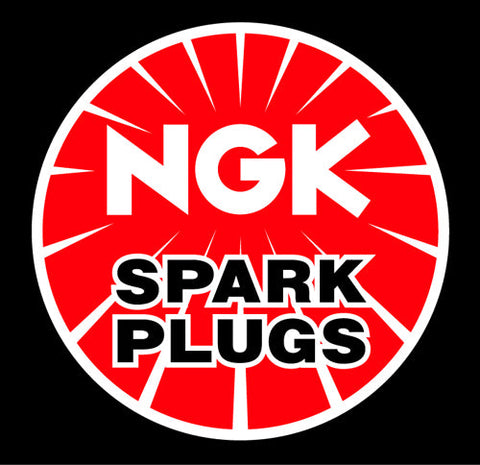 NGK 4922 SPARK PLUG