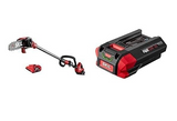 SKIL PS4561C-10  40V POLE SAW